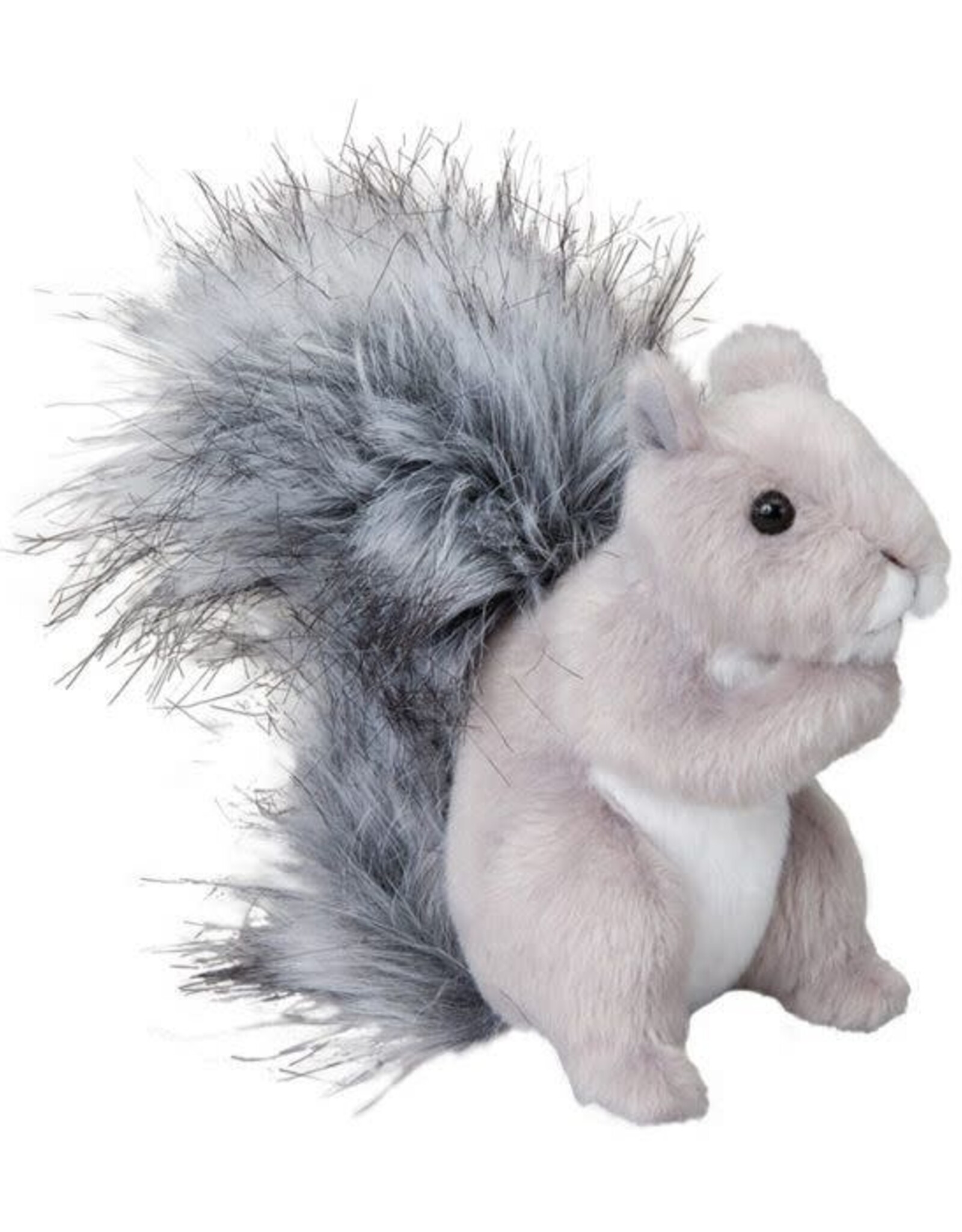 Douglas Shasta Gray Squirrel