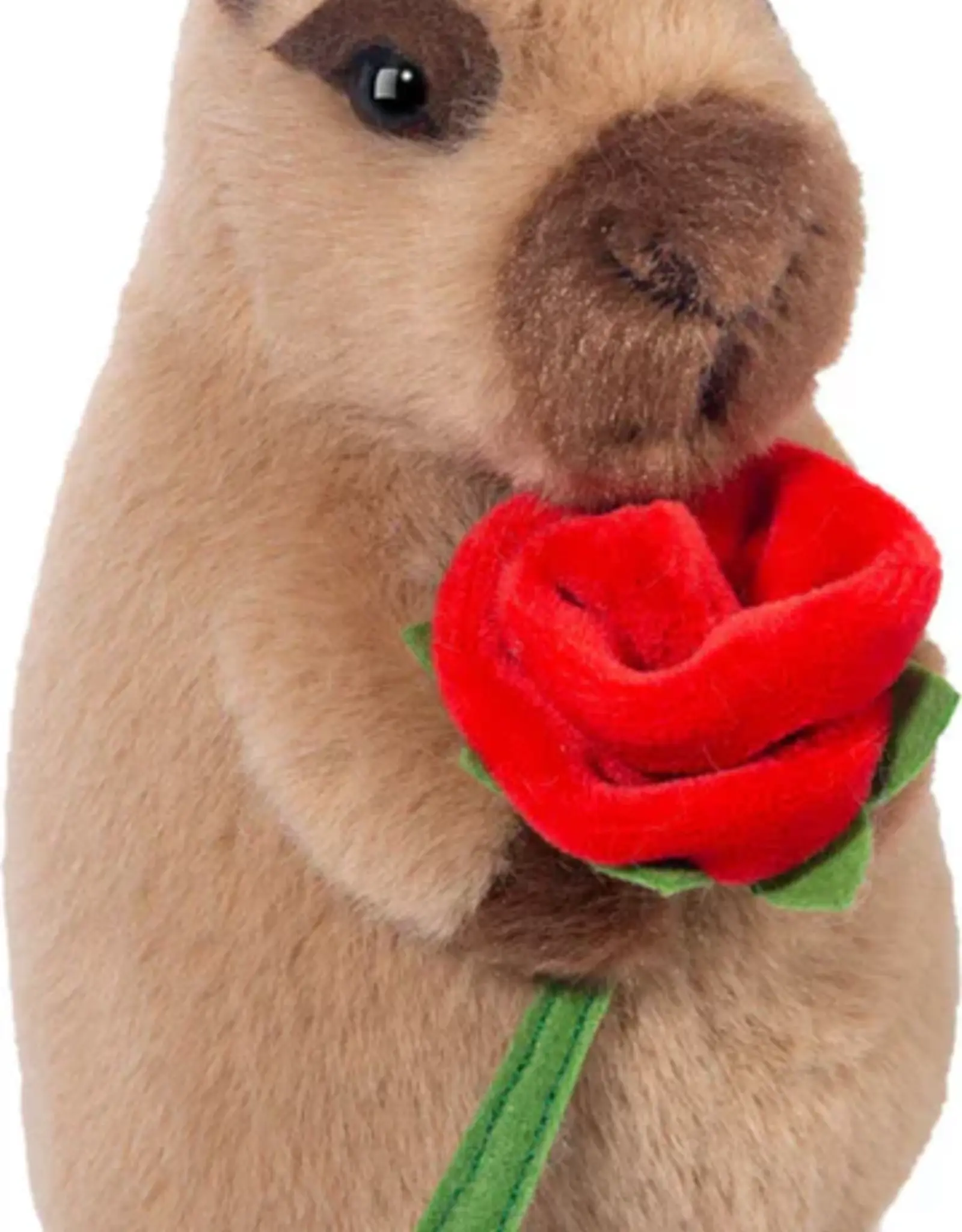Douglas Valentine Capybara with Rose