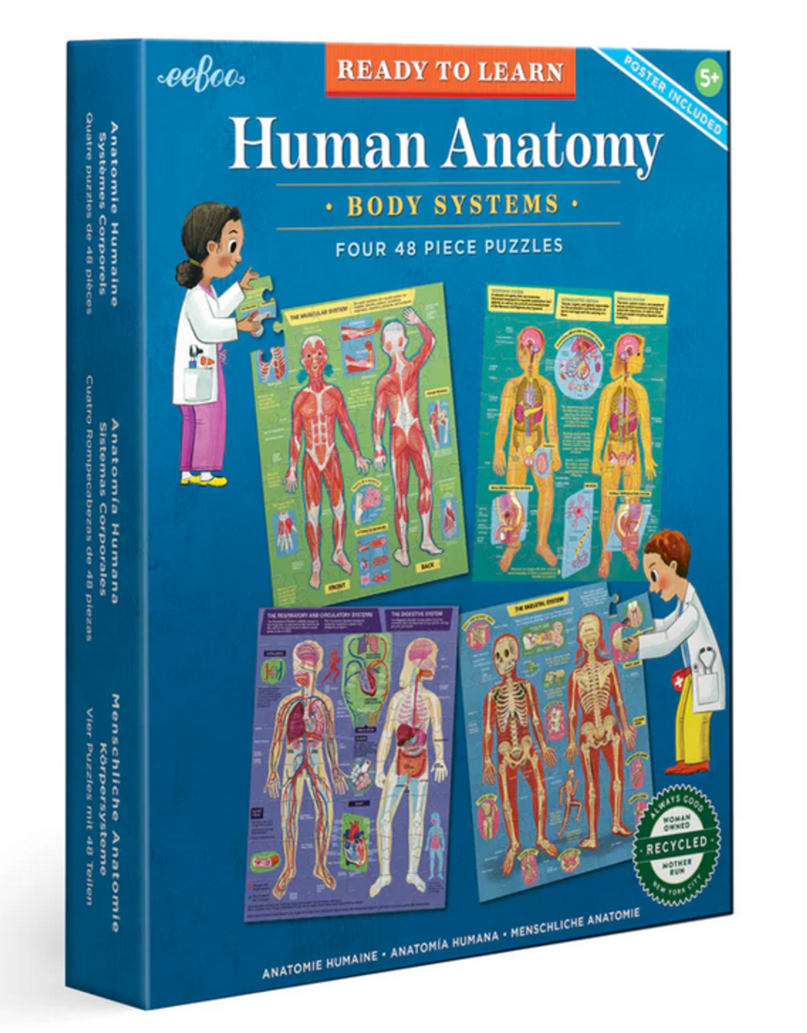 eeBoo Ready to Learn - Human Anatomy 4-Puzzle 48 Piece Set