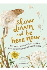 Abrams Slow Down and Be Here Now