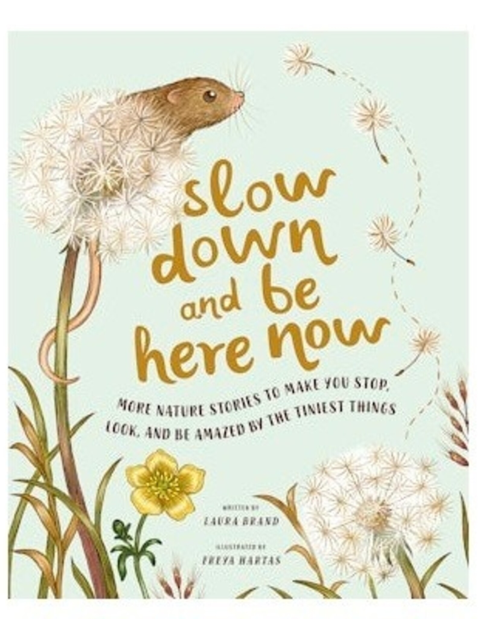 Abrams Slow Down and Be Here Now