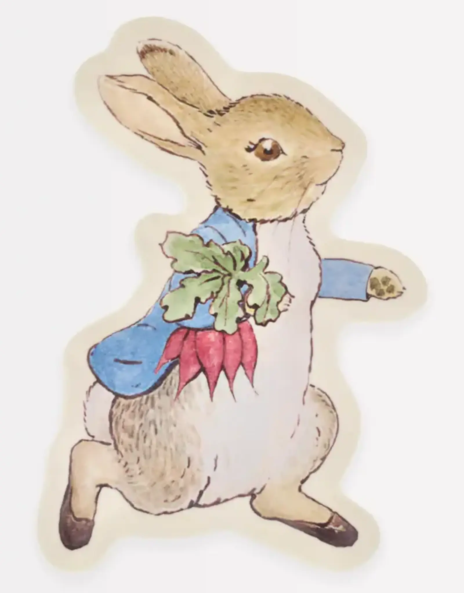 Meri Meri Peter Rabbit Reusable Plate