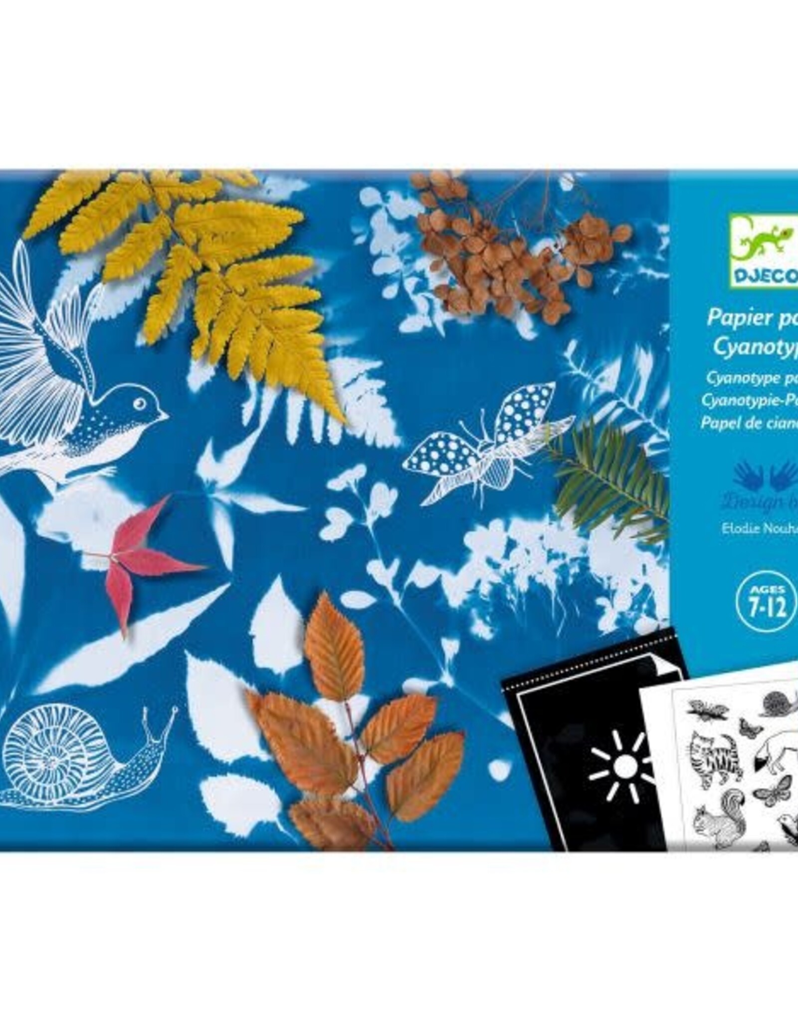 Djeco Cyanotype Starter Craft Kit