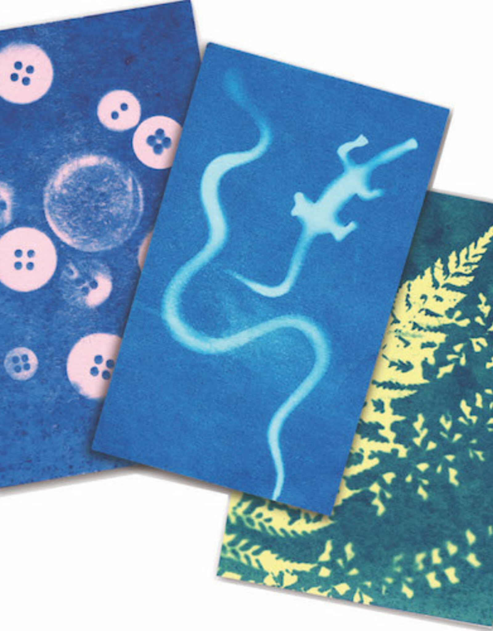 Noted Sunography-Color Cards