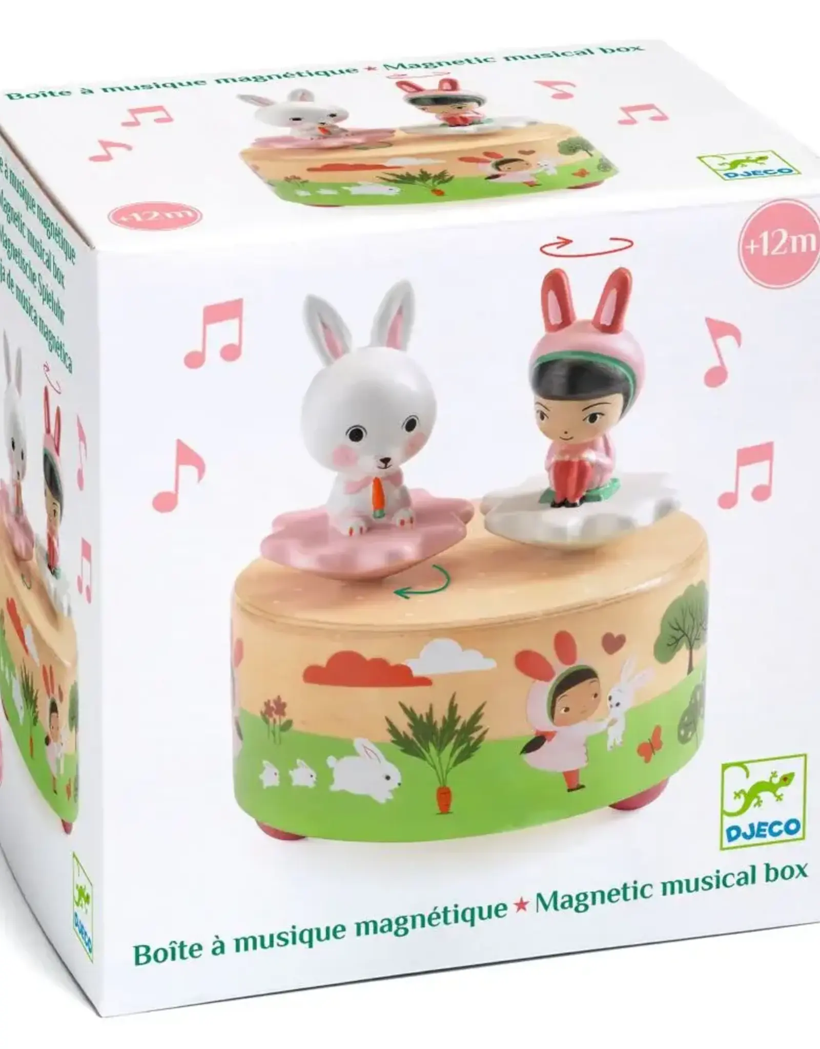 Djeco Music Boxes Garden Melody