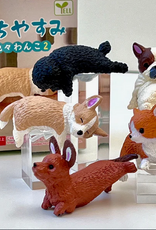 bcmini Blind Box: Dog House