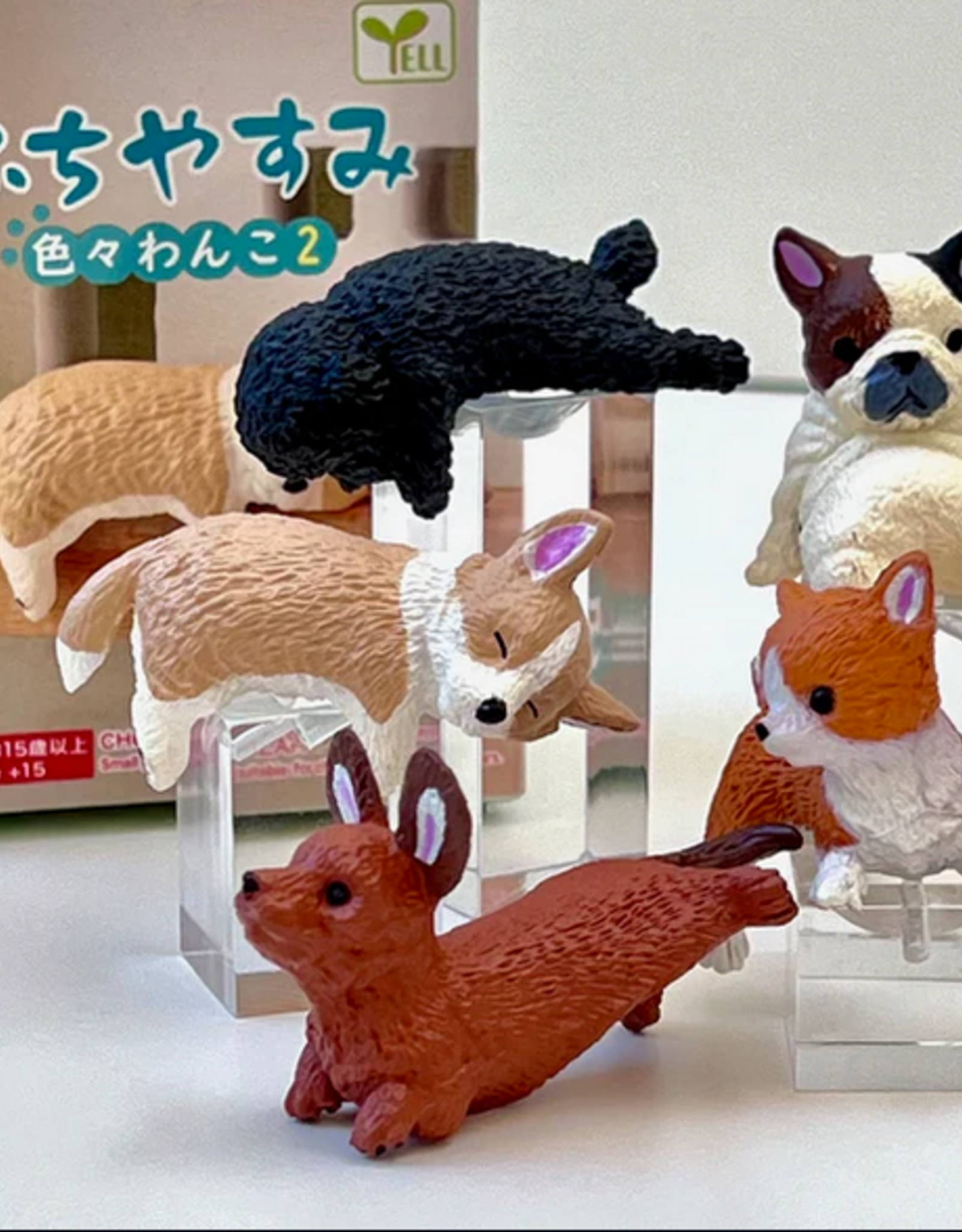 bcmini Blind Box: Dog House