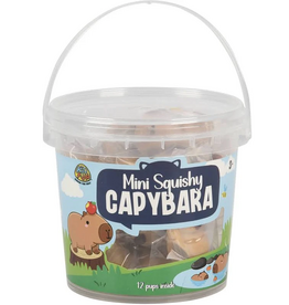 US Toy Mini Squishy Capybara Tub
