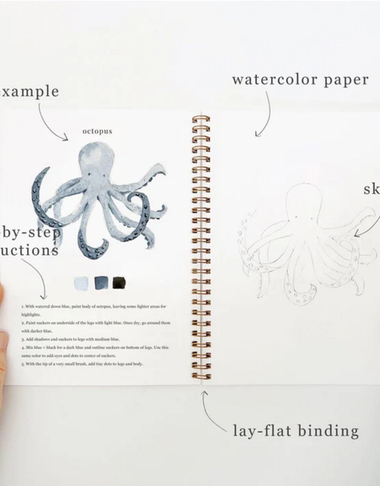 Emily Lex Studio Watercolor Workbook: Seaside