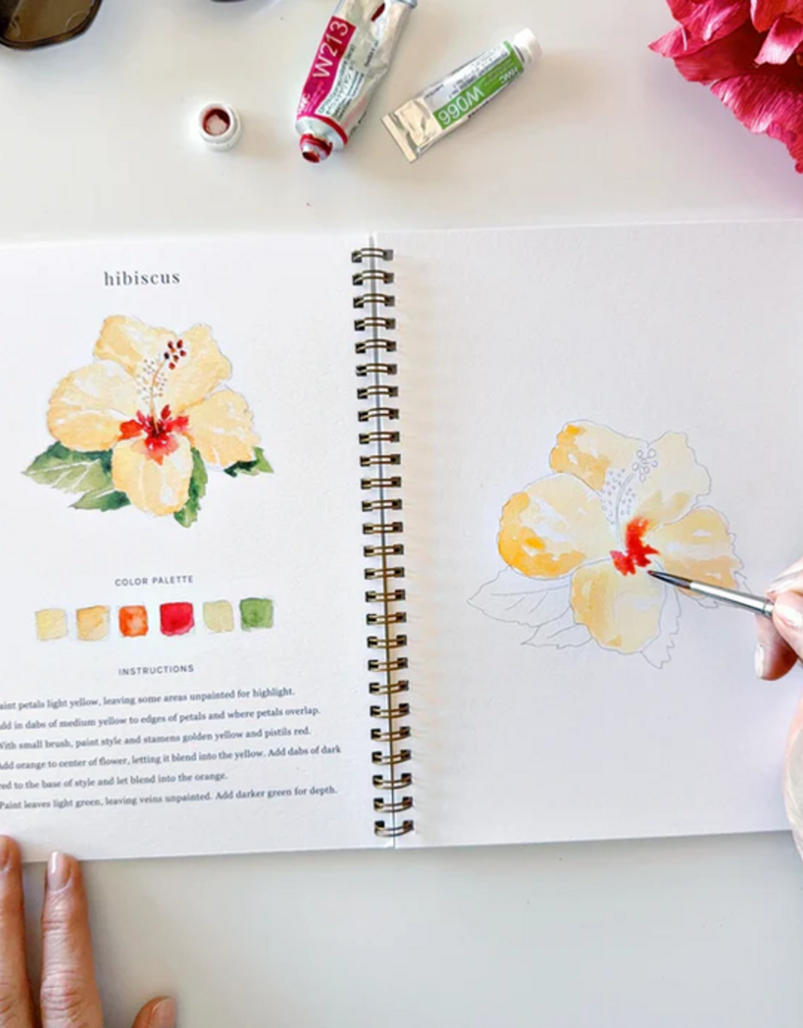 Emily Lex Studio Watercolor Workbook: Tropical