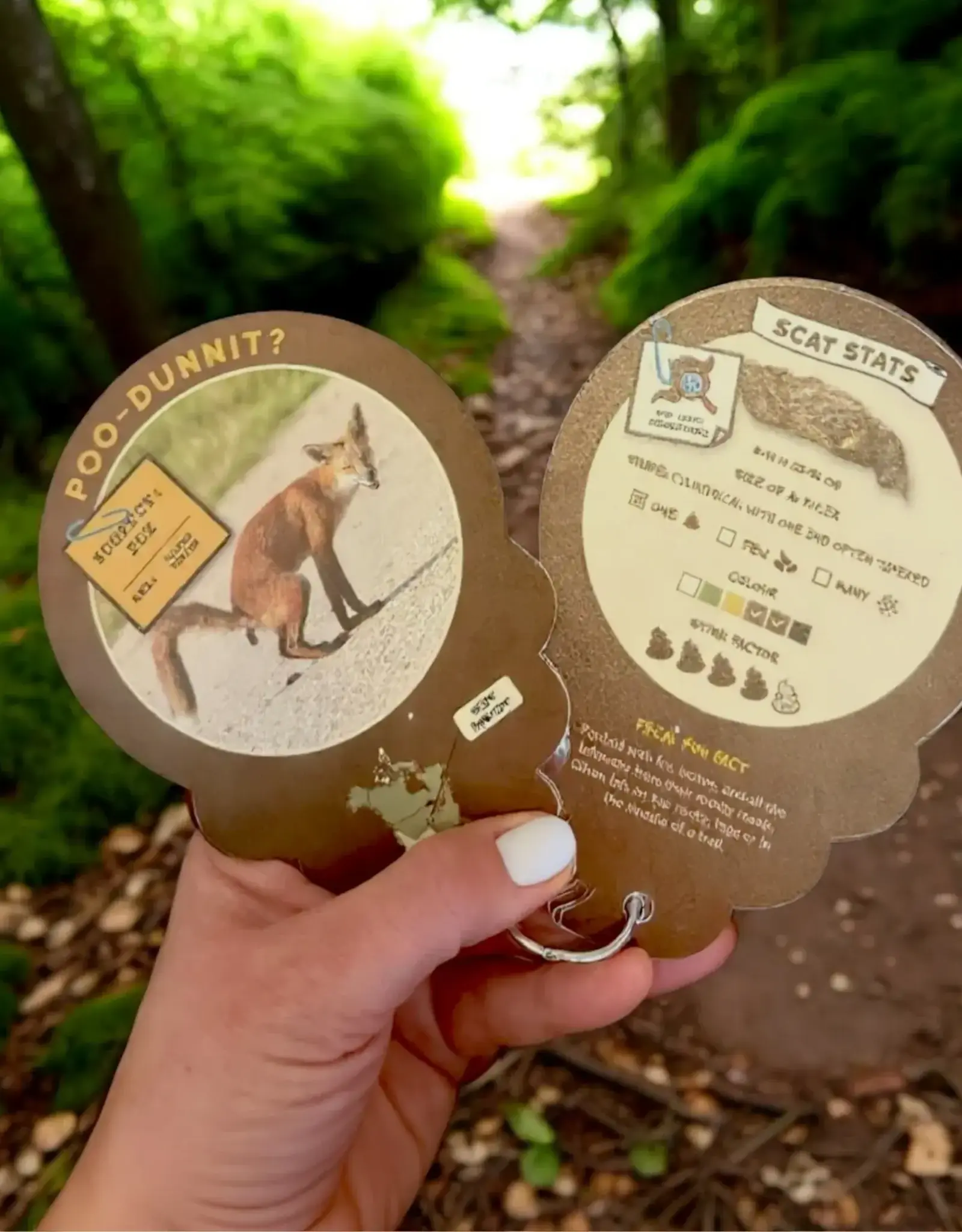 Wild Life Outdoor Adventures Poo Clues Scat Identification Guide