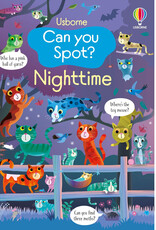 Usborne Can You Spot: Night Time