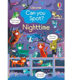 Usborne Can You Spot: Night Time
