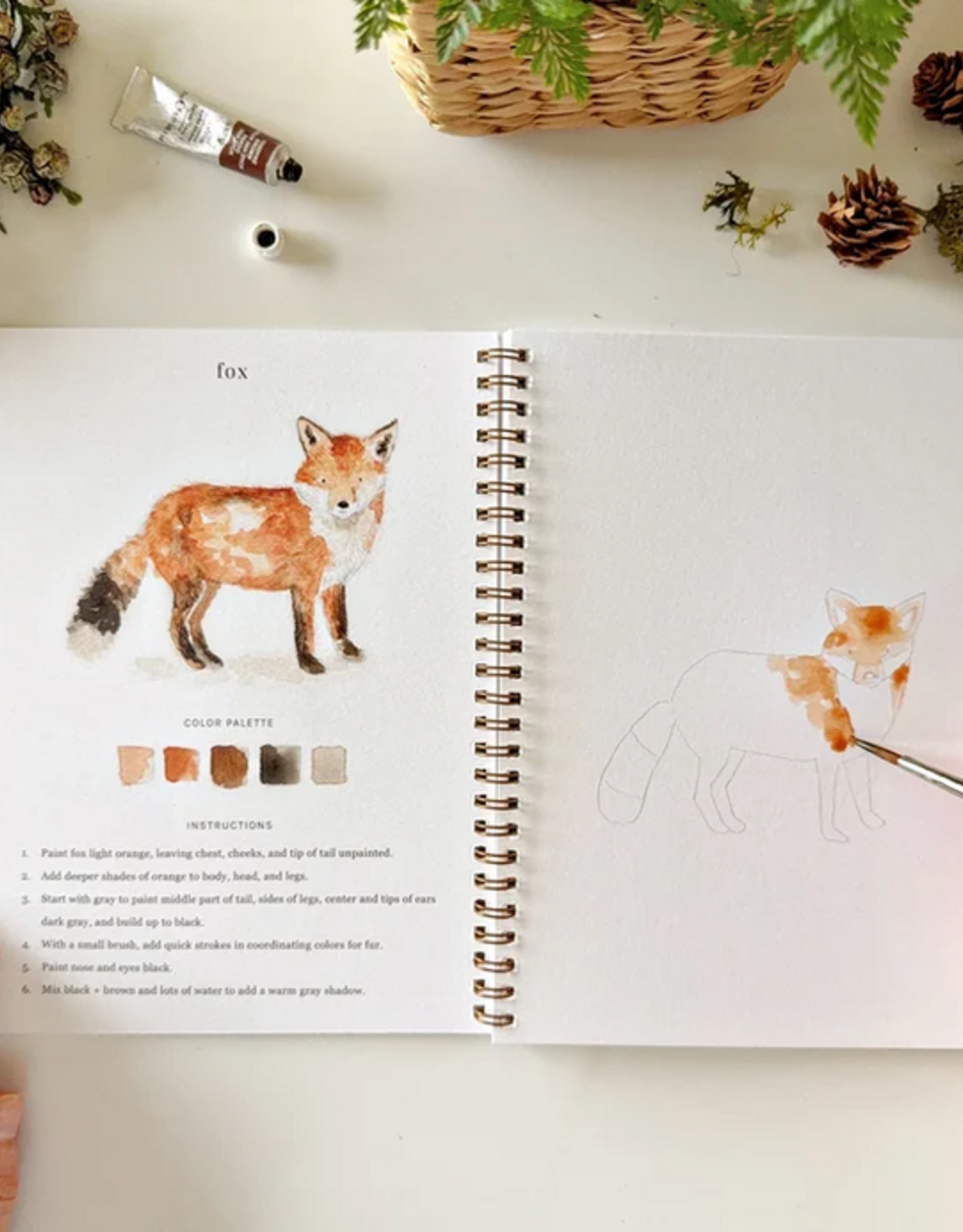 Emily Lex Studio Watercolor Workbook: Woodland