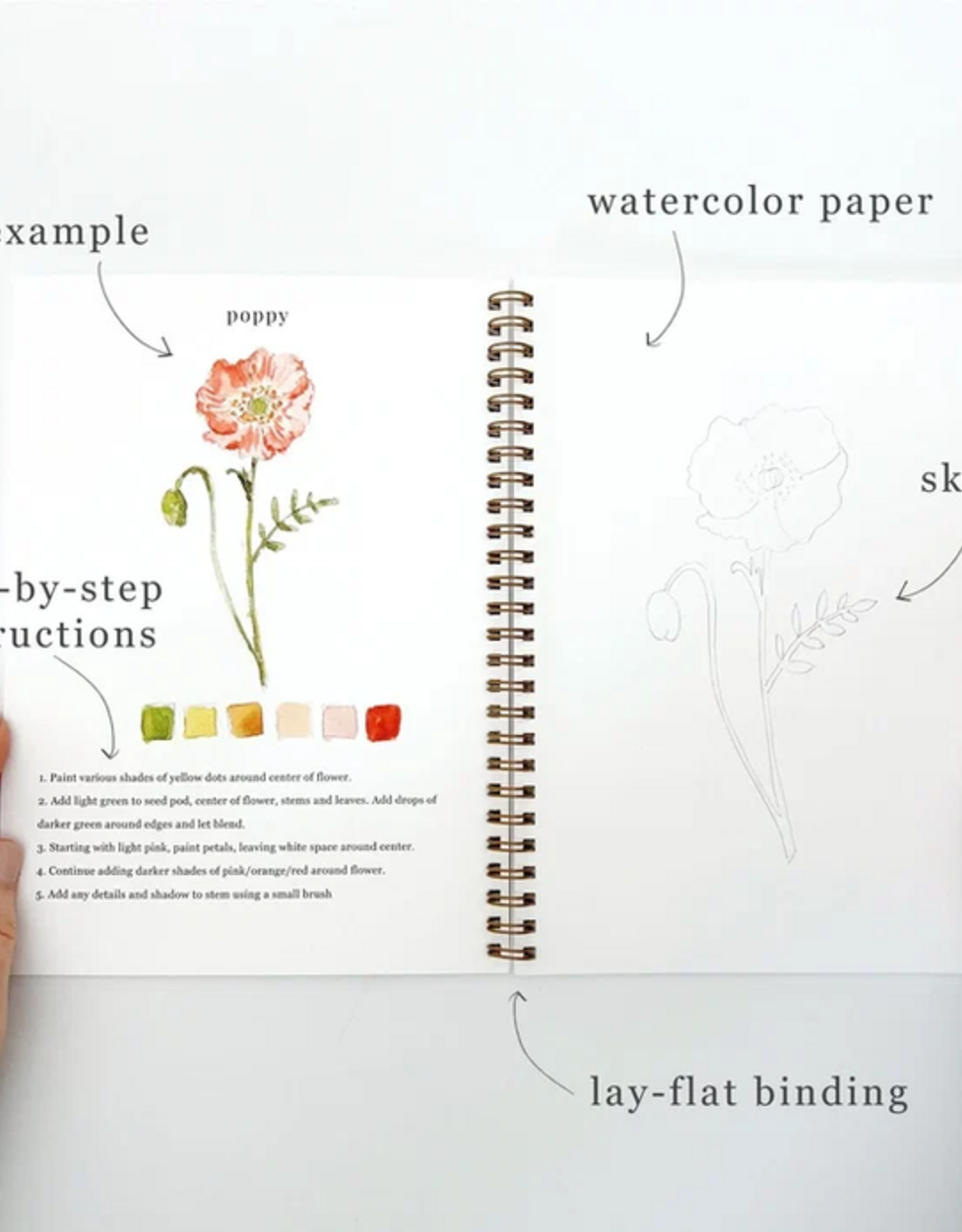 Emily Lex Studio Watercolor Workbook: Flowers
