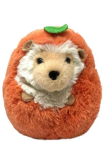 Douglas Spunkin Hedgehog