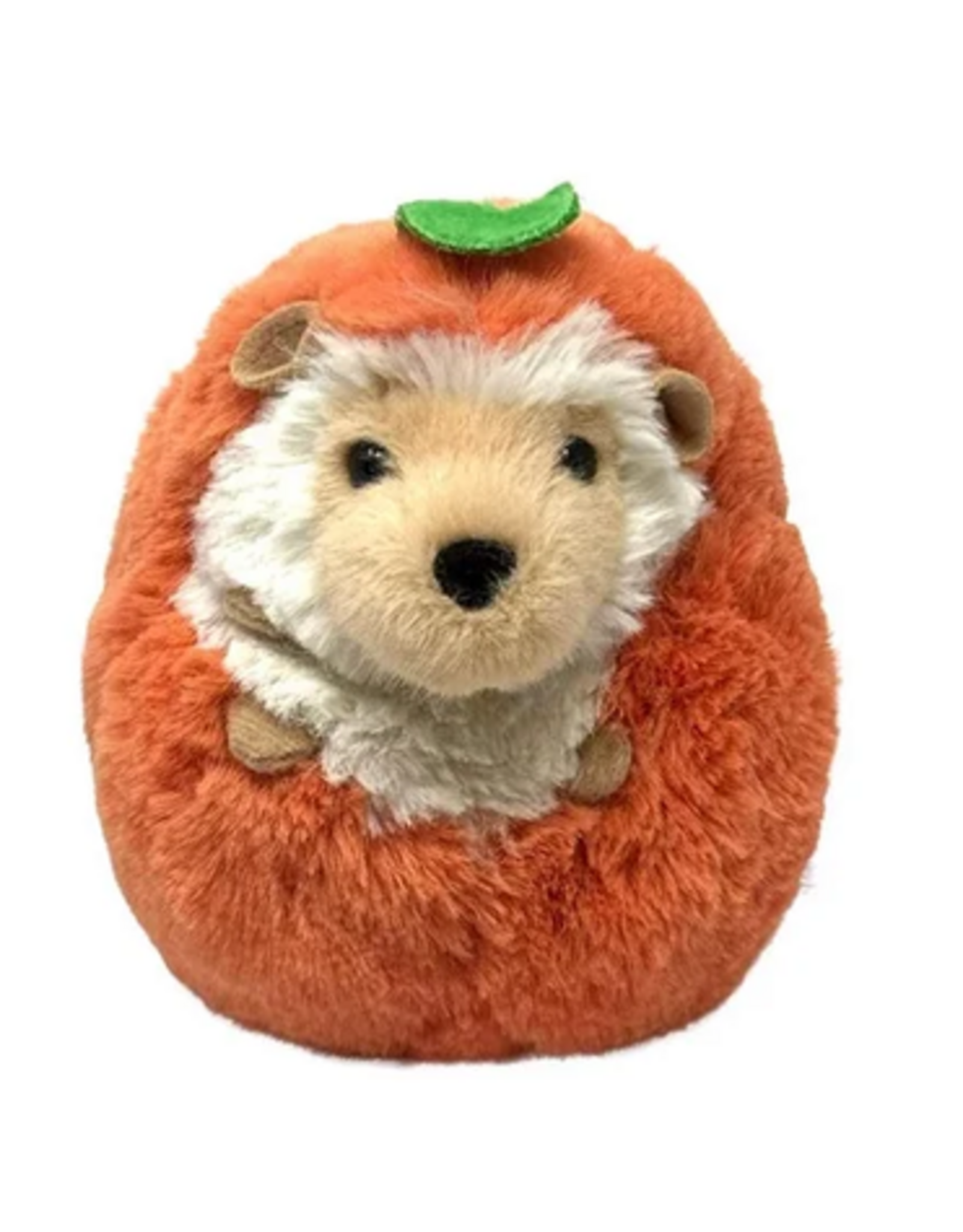 Douglas Spunkin Hedgehog