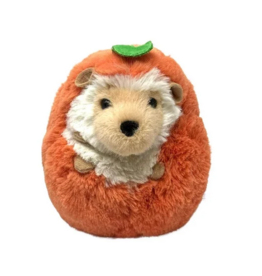 Douglas Spunkin Hedgehog
