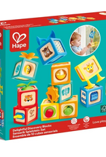 Hape Delightful Discovery Blocks