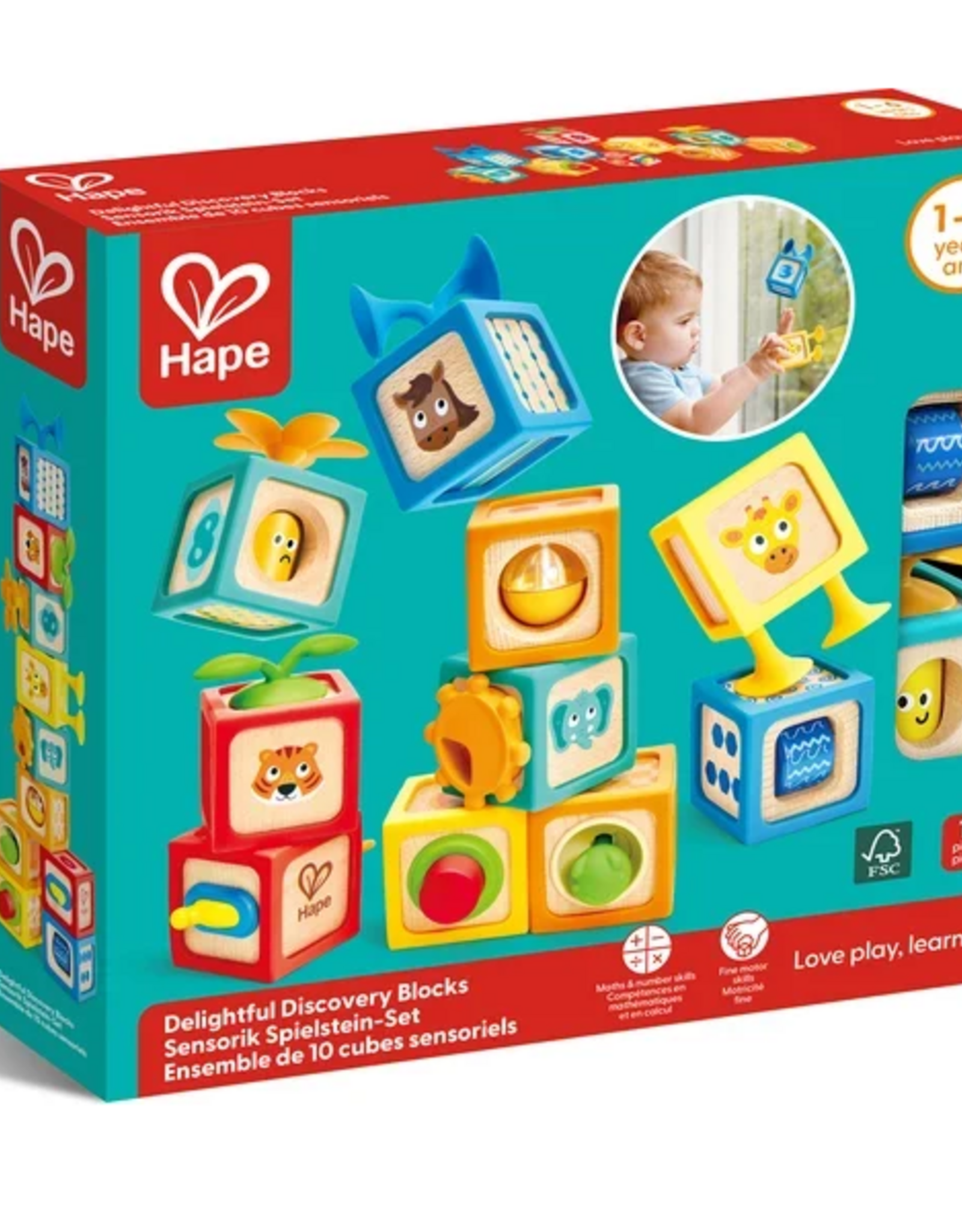 Hape Delightful Discovery Blocks