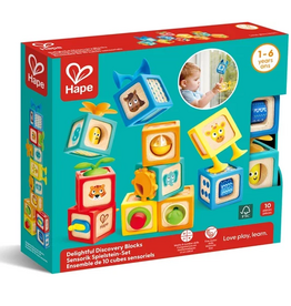 Hape Delightful Discovery Blocks
