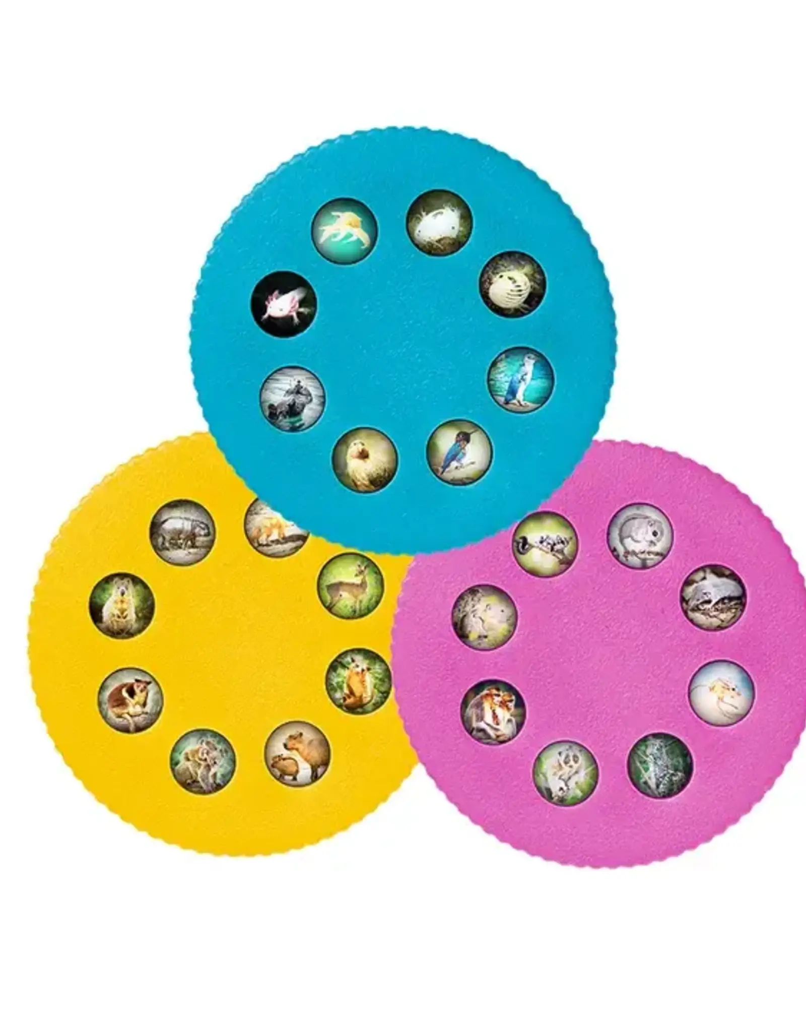 Thames & Kosmos Wonder Lights: Cute Animals