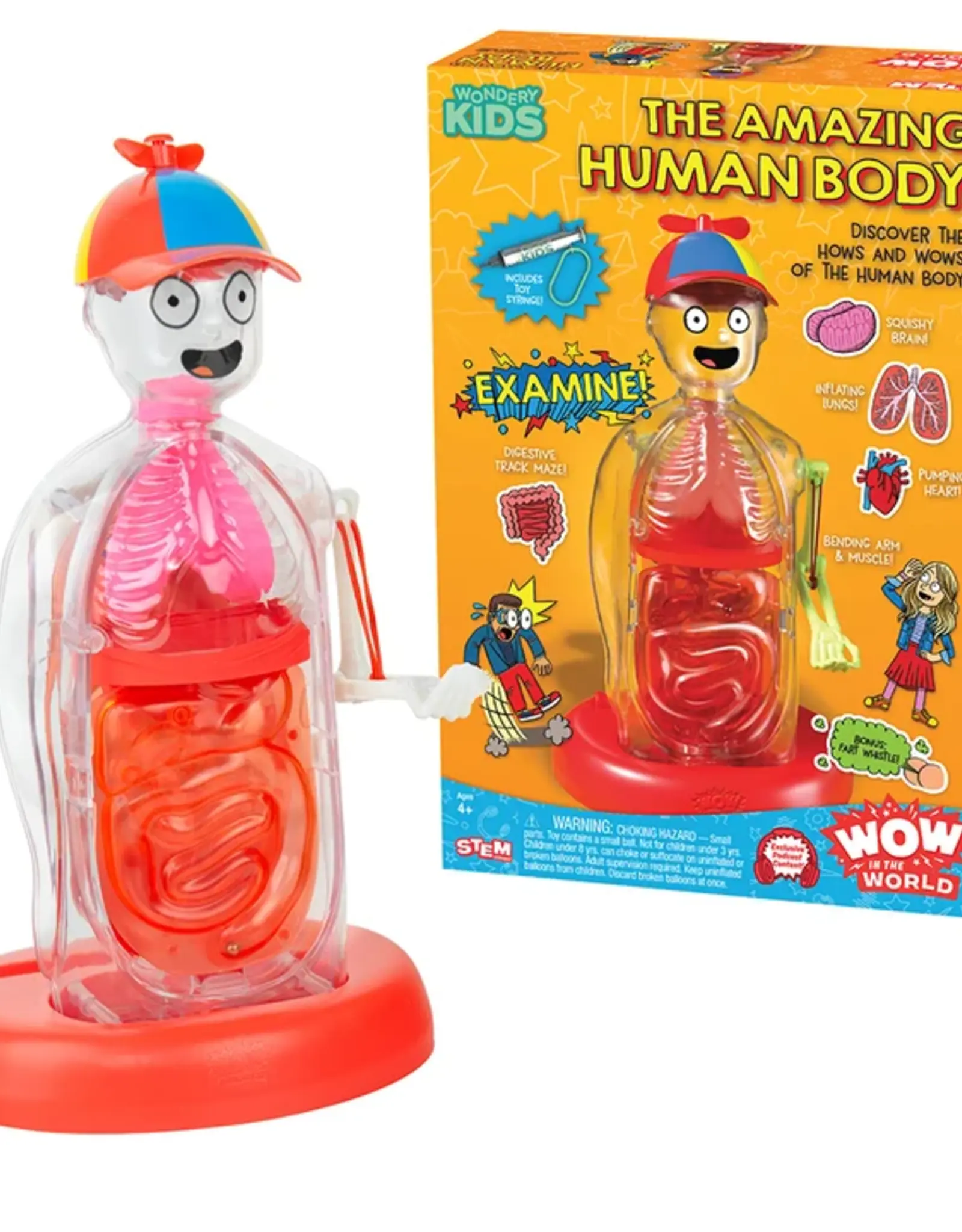 Thames & Kosmos Wow in the World: The Amazing  Human Body