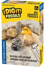 Thames & Kosmos I Dig It! Real Fossils Excavation Kit