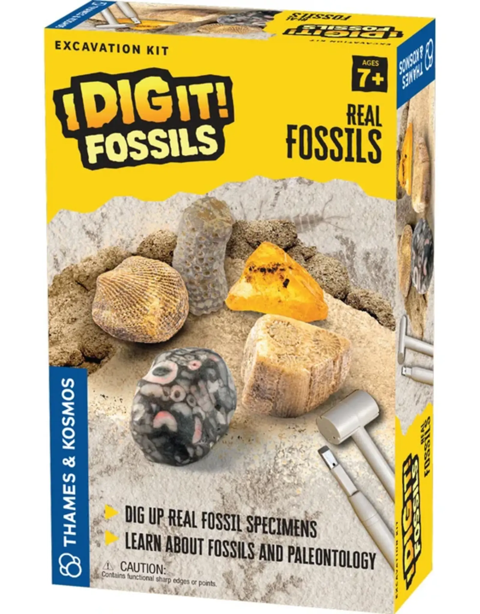 Thames & Kosmos I Dig It! Real Fossils Excavation Kit