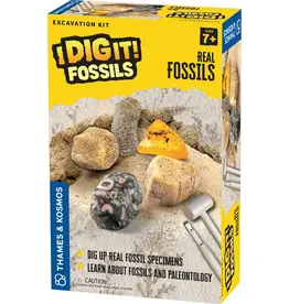 Thames & Kosmos I Dig It! Real Fossils Excavation Kit
