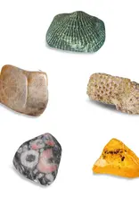 Thames & Kosmos I Dig It! Real Fossils Excavation Kit