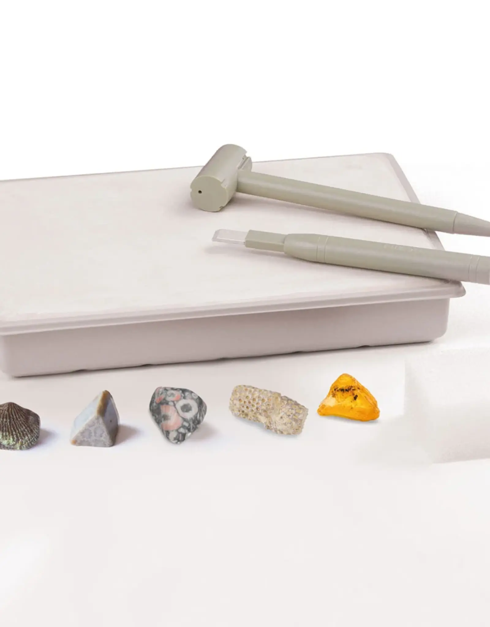 Thames & Kosmos I Dig It! Real Fossils Excavation Kit