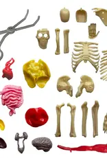 Thames & Kosmos OOZE Labs: Visible Human Body