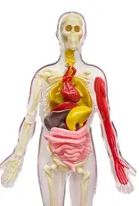 Thames & Kosmos OOZE Labs: Visible Human Body