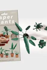 Pikkii Paper Plants