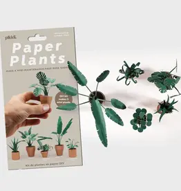 Pikkii Paper Plants