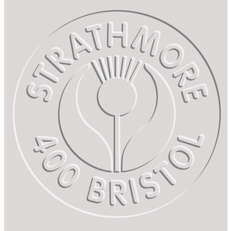 Strathmore Bristol Board Vellum 22"x30" 2 Ply