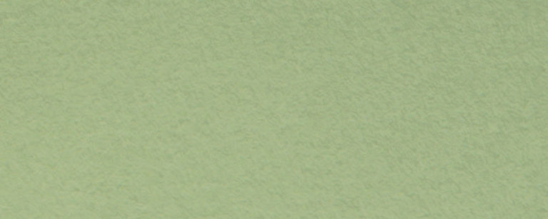 Canson Canson Mi-Teintes Paper Light Green 19''x25''