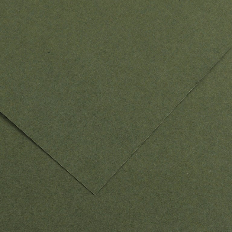 Canson Colorline Paper Khaki Green 19.5"x25.5" 300gsm