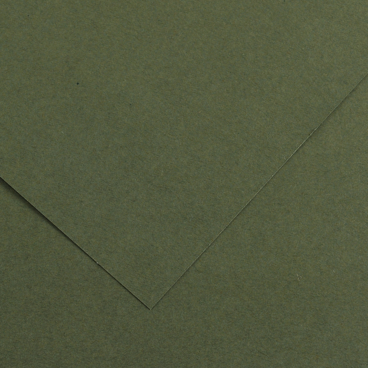 Colorline Paper Khaki Green 19.5"x25.5" 300gsm RISD Store