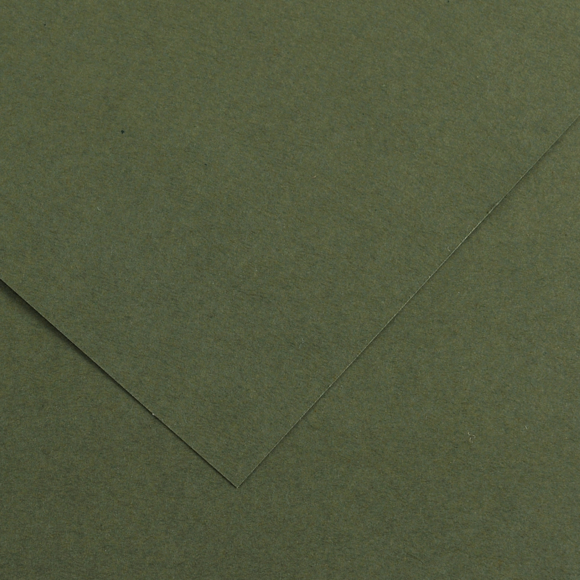 stof in de ogen gooien Gymnastiek Sophie Colorline Paper Khaki Green 19.5"x25.5" 300gsm - RISD Store