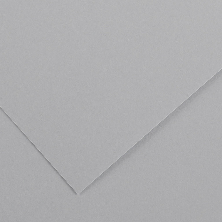 Canson Colorline Paper Light Grey 19.5"x25.5" 300gsm