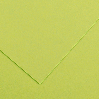 Canson Colorline Paper Lime Green 19"x25"