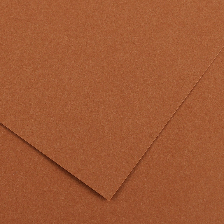 Canson Colorline Paper Nut Brown 19.5"x25.5" 300gsm