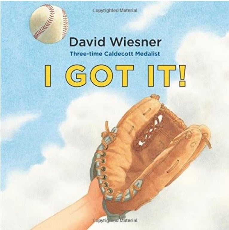 David Weisner I Got It by David Wiesner