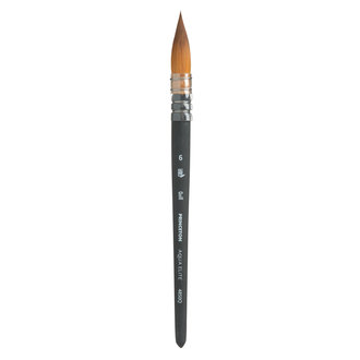 Princeton Brush Aqua Elite 4850 Quill Brush #6