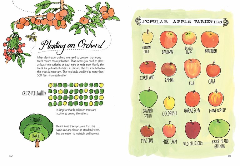 Farm Anatomy: The Curious Parts and Pieces of Country Life by Julia Rothman