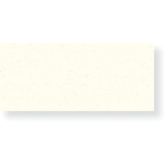 Canson Illustration/Manga Board Bright White 16"x20"