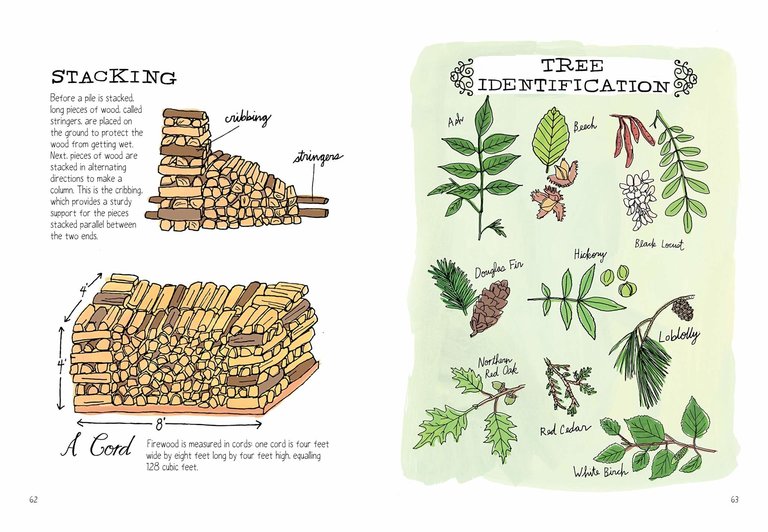 Farm Anatomy: The Curious Parts and Pieces of Country Life by Julia Rothman