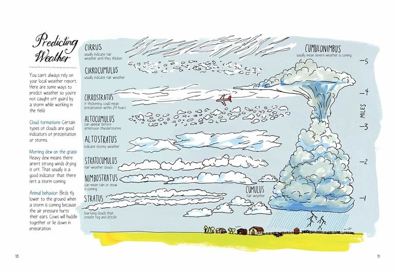 Farm Anatomy: The Curious Parts and Pieces of Country Life by Julia Rothman